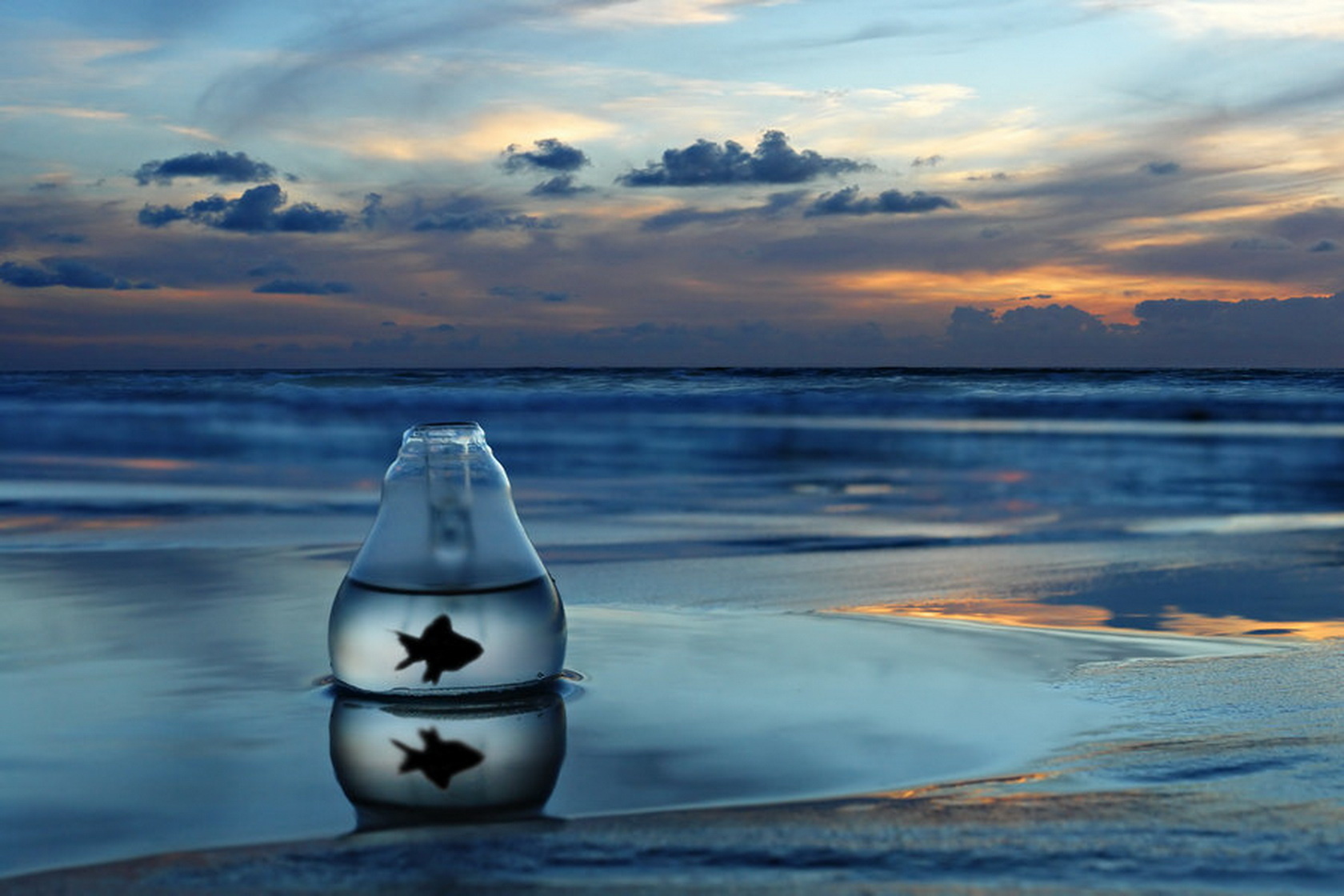 世界举重规则研讨：舆论推动评分细则完善，世界举重联合会官网